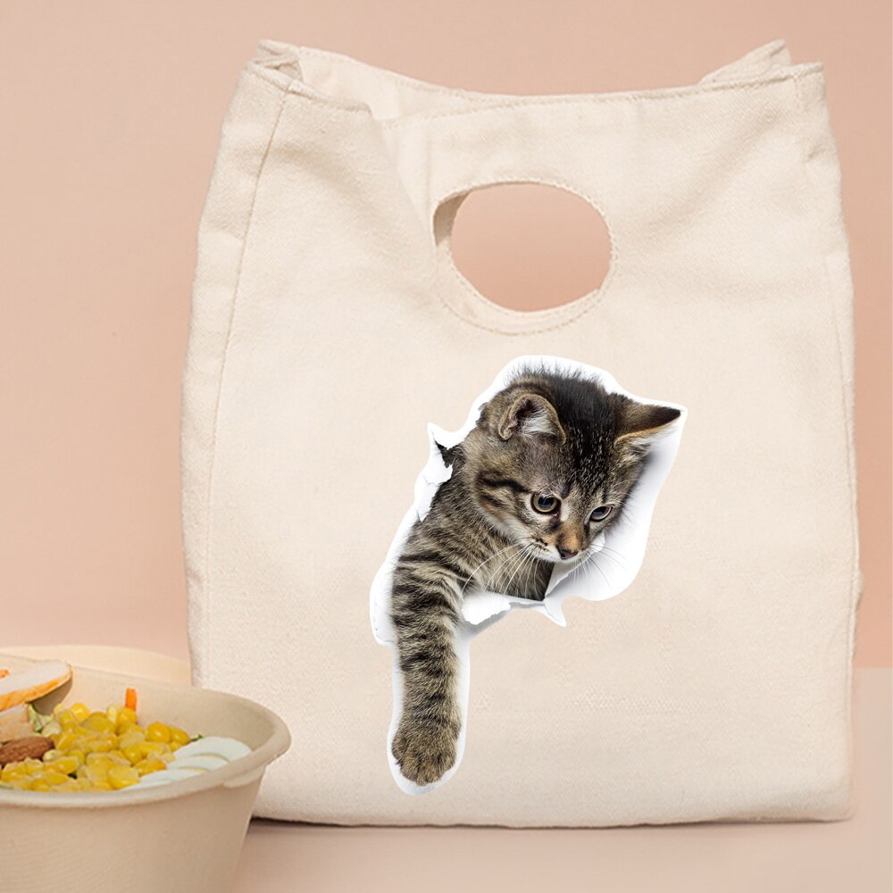Gecontracteerde Stijl Geïsoleerde Lunch Tas, Duurzaam Bento Pouch, Thermische Lunch Box, Cooler Tassen, kat Print Lunch Container Bag: 5Cat010