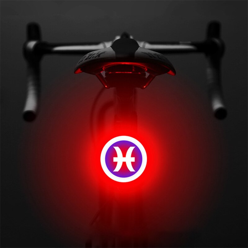 Bicycle Light USB Charge Multi Lighting Modes Led Bike Light Flash Tail Rear Bicycle Lights for Mountains Bike Seatpost: Pisces