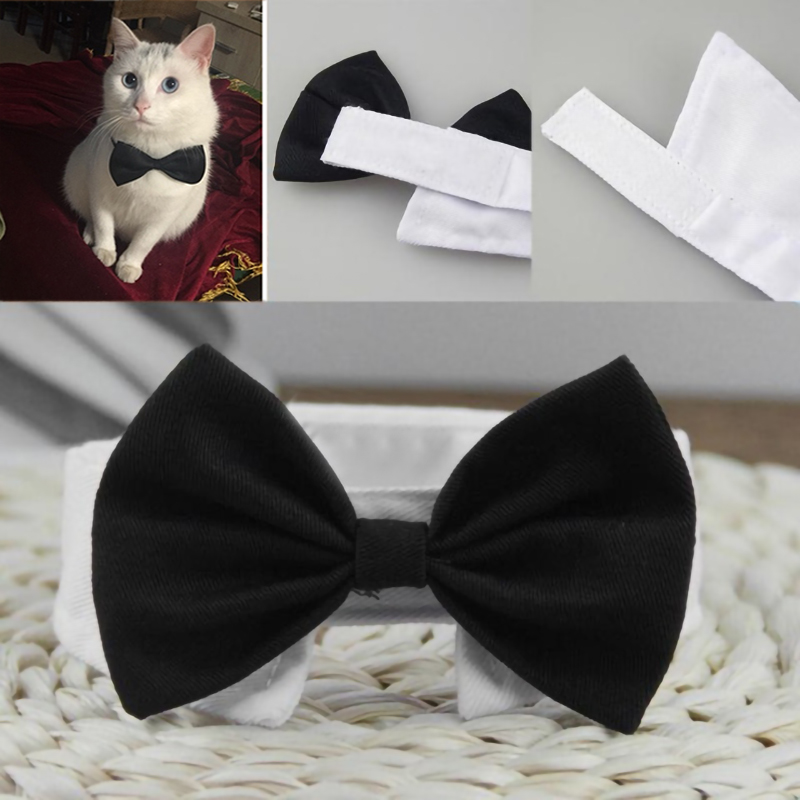 Huisdier Kat Vlinderdas Verstelbare Pet Das Kostuum Formele Halsband Voor Kleine Honden En Katten Pet Accessoires Voor wedding Party