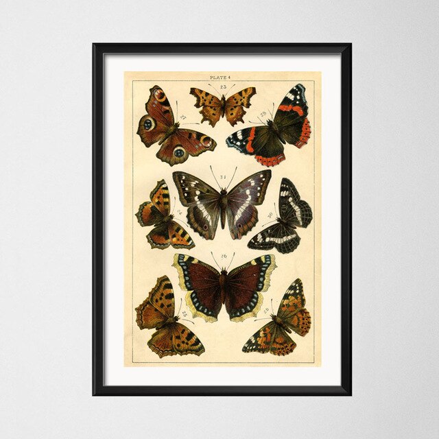 Vintage style toile peinture affiche insecte spécimen peinture de décoration Kraft papier affiche pas de cadre