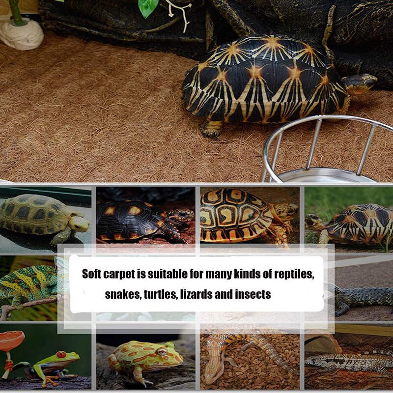 gad dywan z włókna kokosowego żółw mata dywanowa dla zwierząt Terrarium liniowiec gadów dostaw dla jaszczurki wąż kameleon 60X100cm