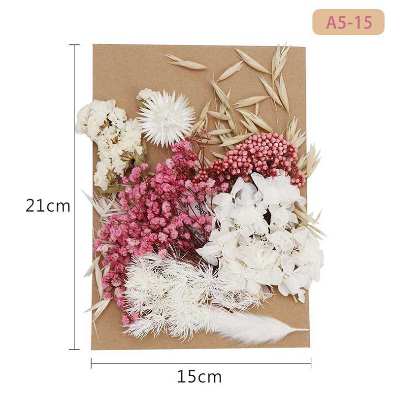 Fleur pressée mélangé fleurs séchées matériel pour bricolage aromathérapie bougies carte de voeux époxy artisanat boucles d'oreilles FAS6: BLEU CIEL