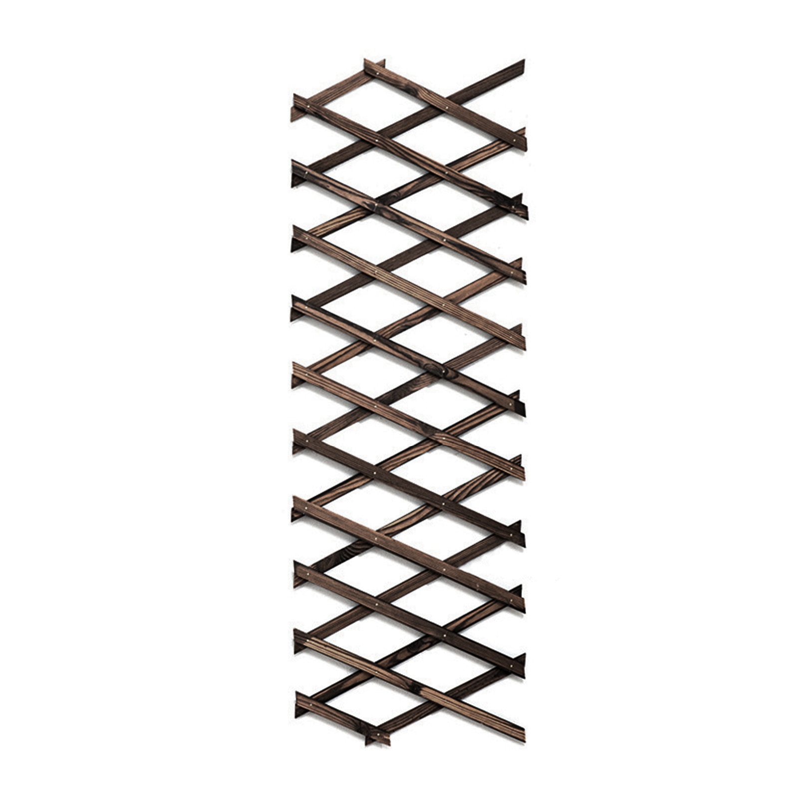 Extra Thick Expandable Plant Climb Hanging Frame Trellis Plant Support Fence Indoor Air Plant Vertical Rack Wall Decor