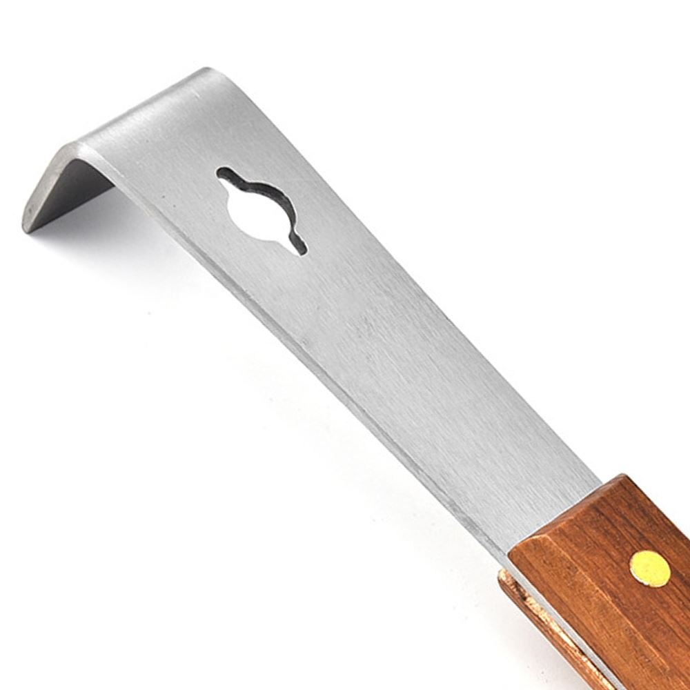 1 piezas estándar espátula de acero inoxidable de polen de abeja pala apiario traje de apicultor apicultura herramientas colmenas equipo