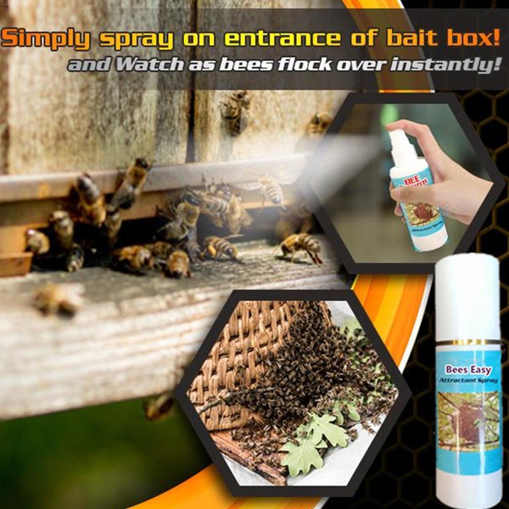 60ml essaim commandant leurre appât miel abeille ruche piège apicole miel outil Pots B1N5