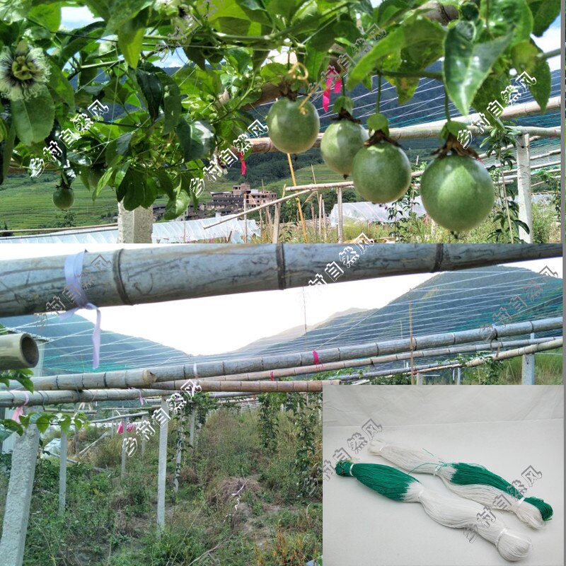 Speciale netto voor plant klimmen meloen bittere kalebas loofah bean meloen fruit komkommer netto landbouw planten netto