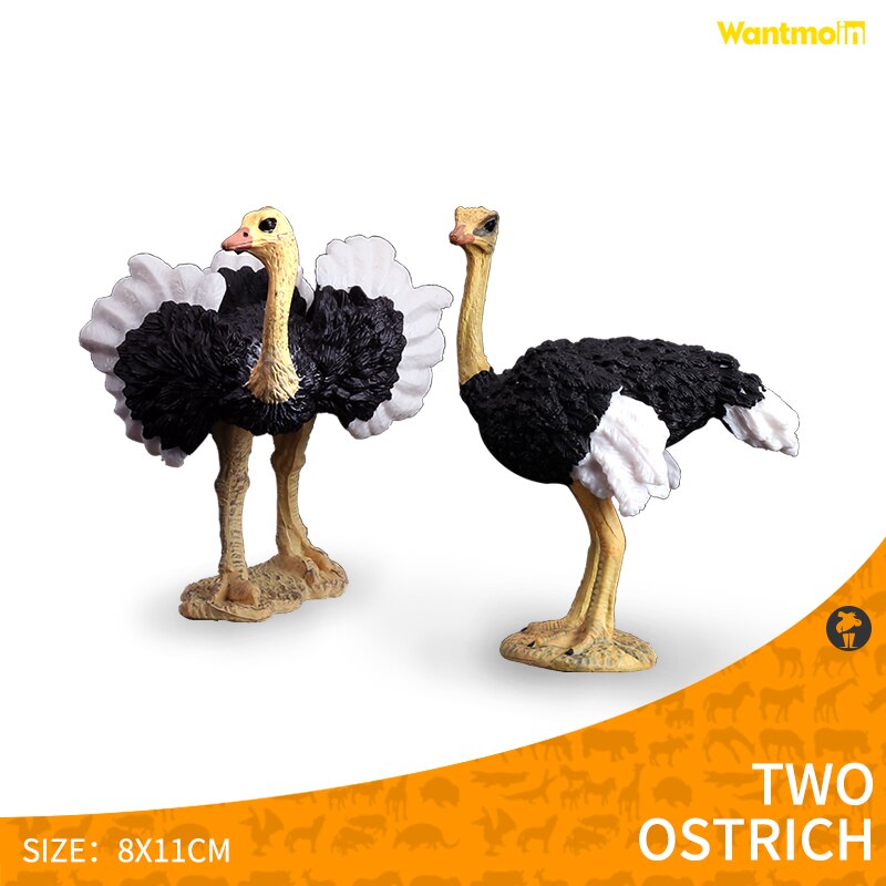 Safari Animals Figures Toys, Realistic Jumbo Wild Zoo Animals Figurines Large- Plastic Playset with Elephant, Giraffe, Lion, etc: Two ostriches