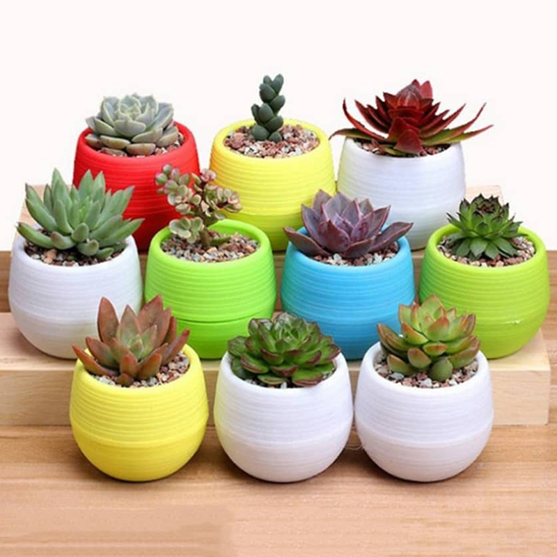 Blumentopf Set Kunststoff Farbe Atmungsaktive Mini Gartenpflanze Werkzeuge Haushalt Balkon Desktop Grün Sukkulenten Blumentopf TMZ