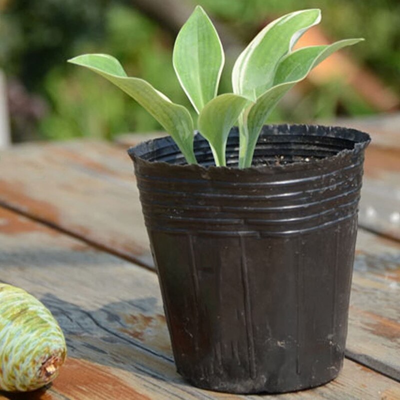 500Pcs Kwekerij Pot Plastic Plant Propagatie Container Grow Bag Tuin 8cmX8cm