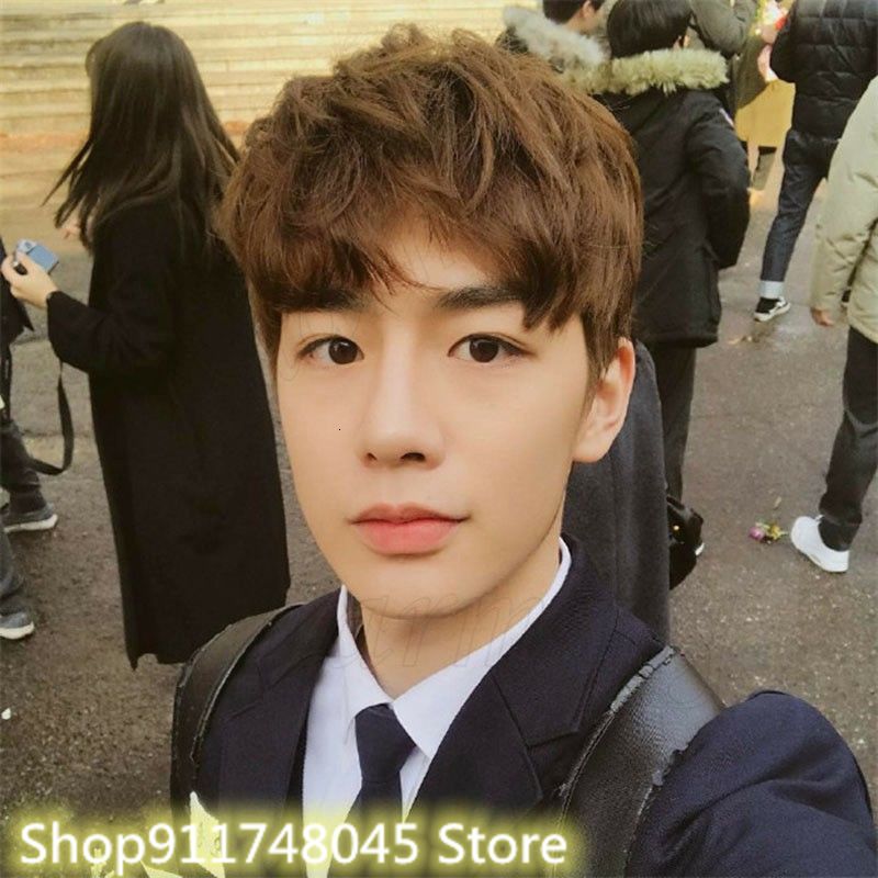 Korean Handsome Natural Men Short Straight Fluffy Short Hair Wig Student Short Curly Hair Wig Natural Looking Brown Wigs Mens