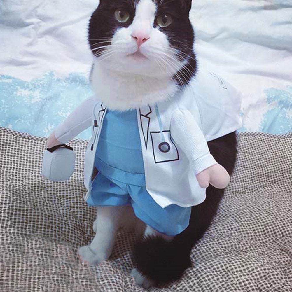 Disfraz de Halloween para mascota, disfraz de perro gato gracioso, Doctor, ropa de Doctor, Cosplay divertido, ropa, traje, uniforme