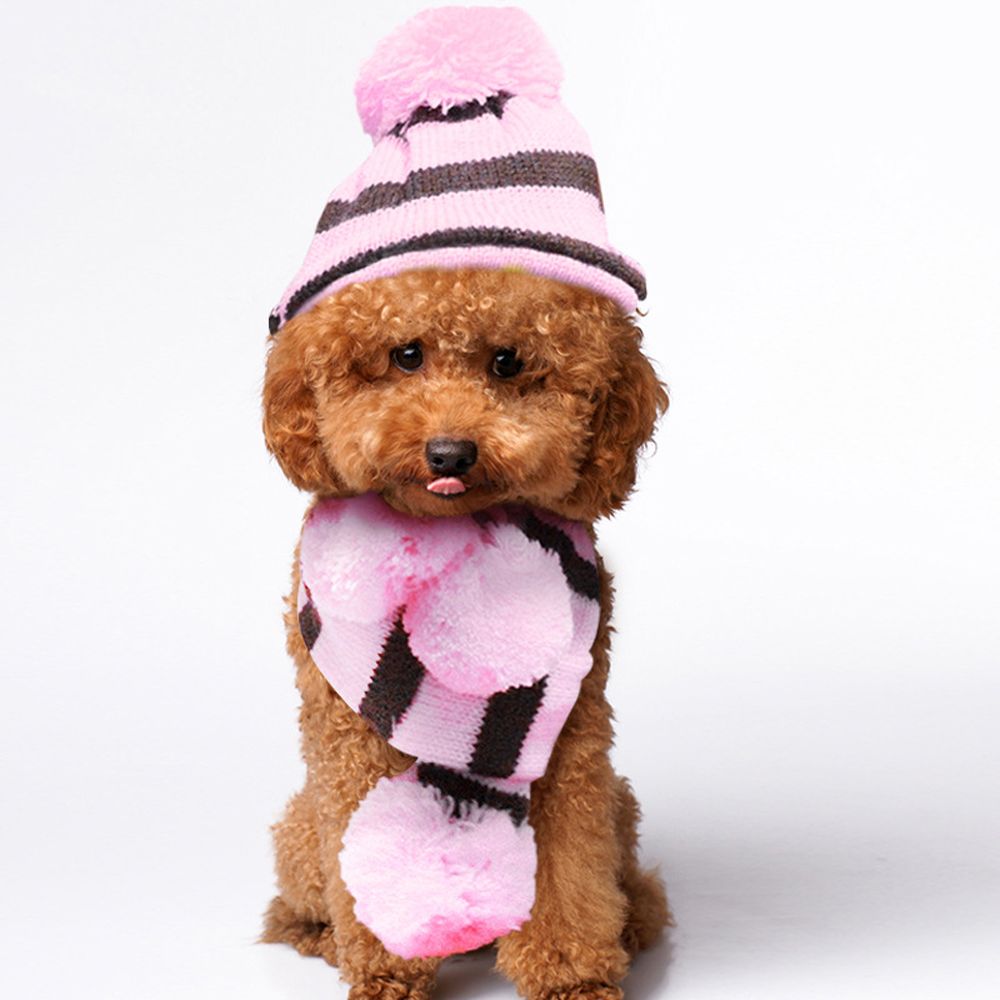 3 Stks/set Leuke Sets Pet Hond Kat Hoed Sjaal Sokken Pak Puppy Kitty Gebreide Streep Kostuum Kleding Outdoor Winter Warm huisdier Producten
