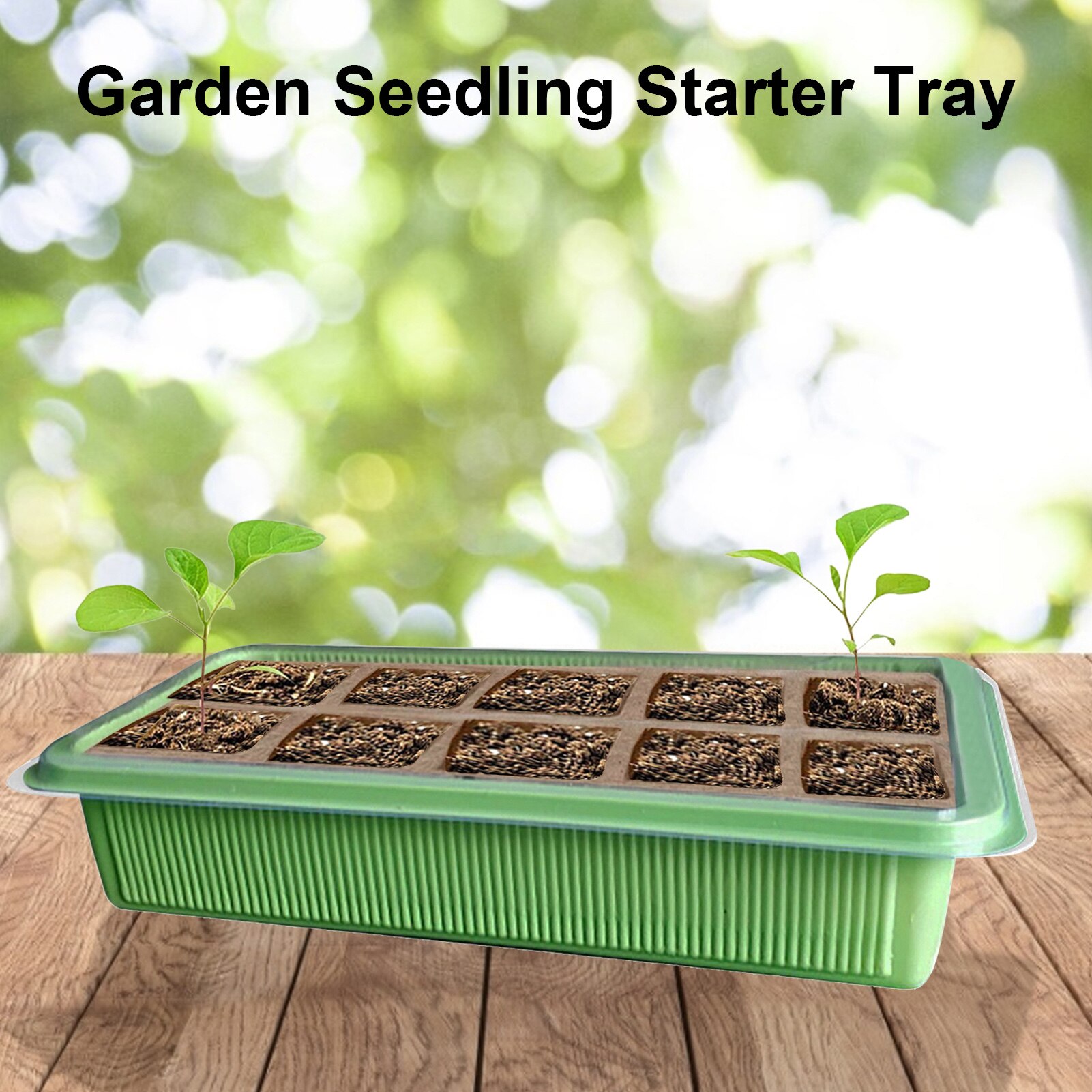 Seed Starter Tray Kit Plant Germination Kit Seedling Tray Set Humidity Adjustable Kit Base Greenhouse Grow Trays Propagator