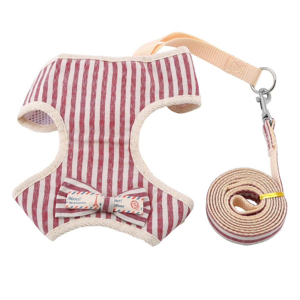 Pet Leash Bowknot Pet Chest Strap Vest Style Cat And Dog Leash Rope No Traction Dog Harness Breathable Mesh: Clear / L