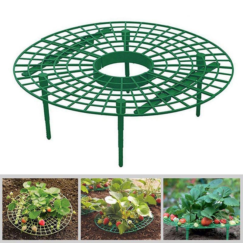 Aardbei Ondersteunt Aardbei Planten Aardbei Groeiende Handig Creatieve Plastic Tuinieren Yard Ornament Planten Outdoor