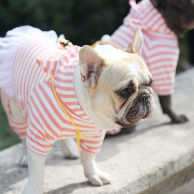 Sød fransk bulldog gris jumpsuit kjole kæledyr hund tøj små mellemstore hunde hvalpefrakke varm hættetrøje tøj chihuahua jakke xic 10