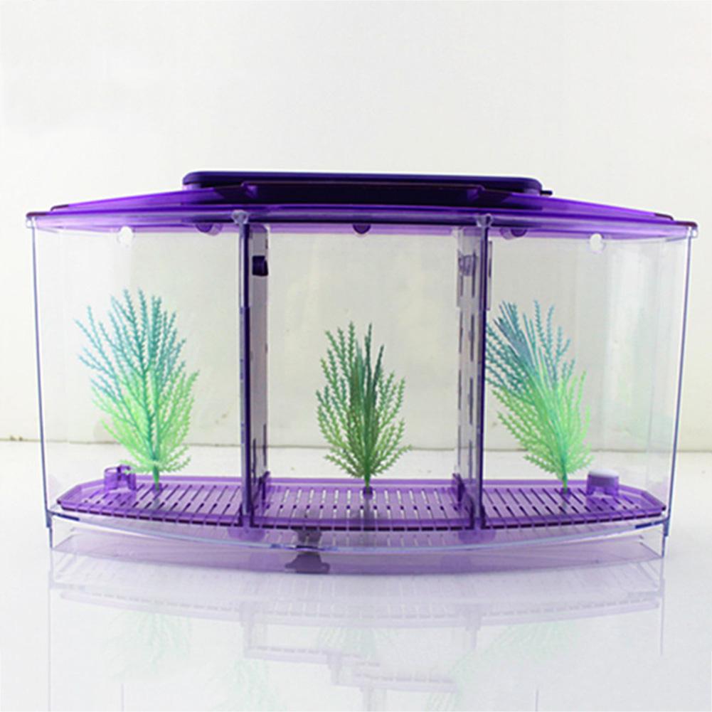 LED Light Acrylic Three Splits Betta Fish Bowl Triple Bow Fighting Isolation Breed Box for Aquarium: purple