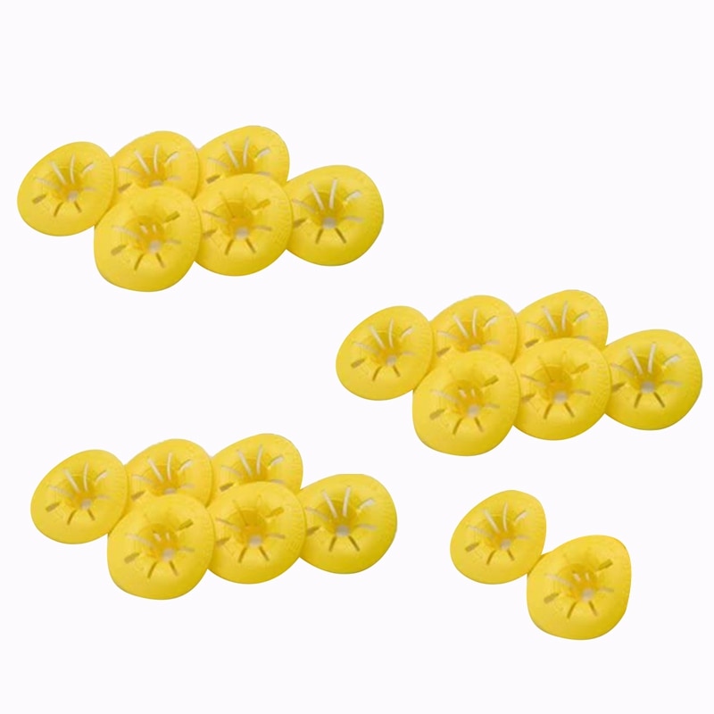Trampa para abejas y tigres de Vespa 20 piezas Hornet, trampa para abejas, utensilios para Herramientas de apicultura, Hornet de cosecha: Default Title