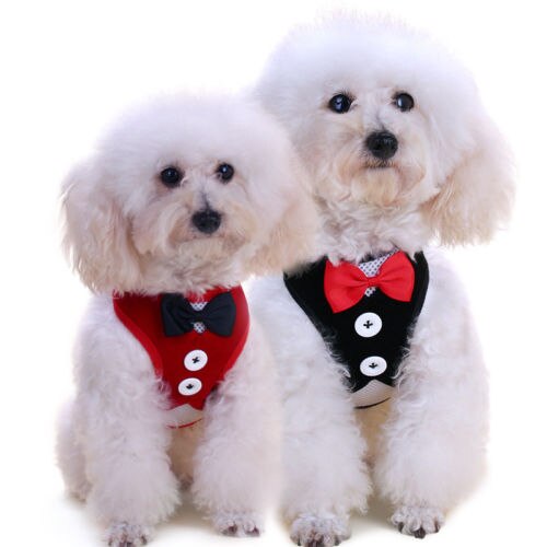 Pet Kleding Puppy Shirt Hond Wedding Tuxedo Westerse Stijl Pak Strikje Kleding Kleding Met Leash