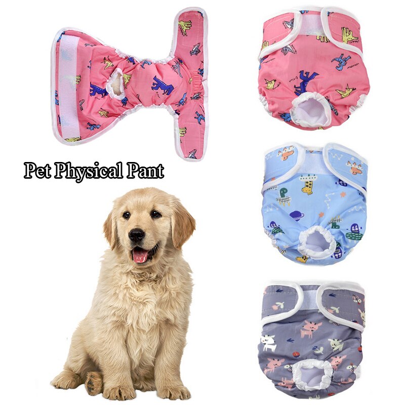 Couche hygiénique pour chien, pantalon lavable, culotte menstruelle, sous-vêtement pour chiot, imprimé dessin animé