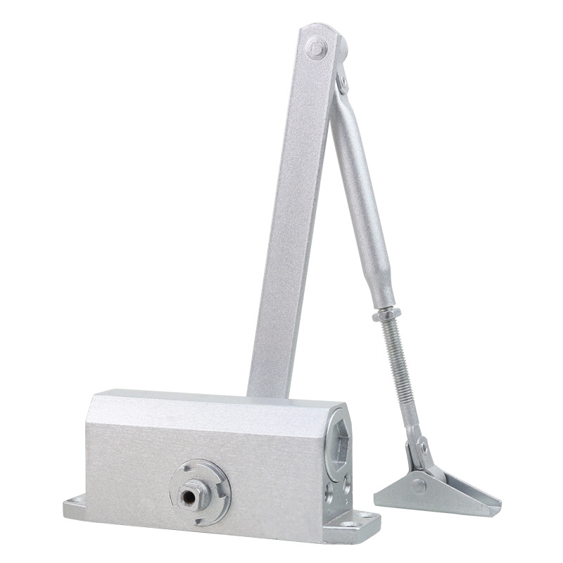 Stainless Buffer Automatic Door Closer Adjustable ... – Grandado