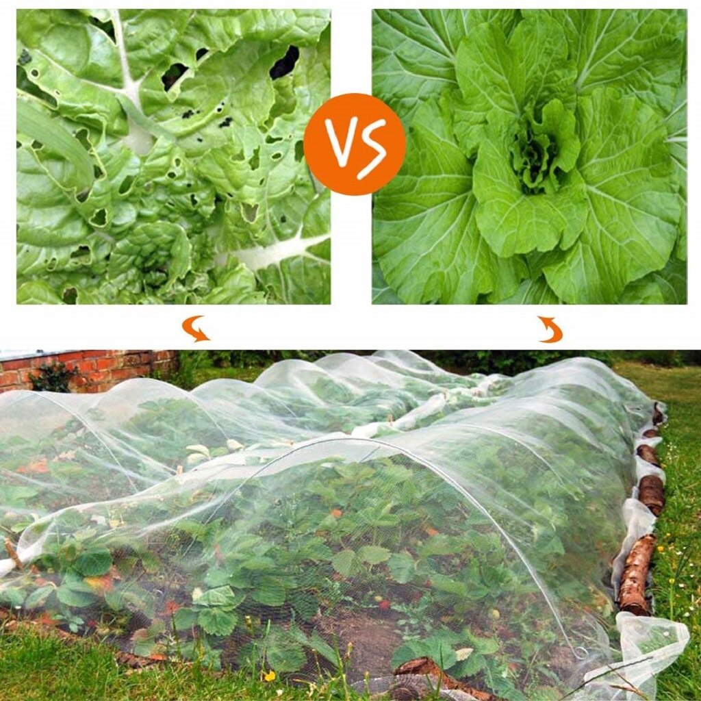 Insect Animal Garden Insect Netting Vegetables Pes... Grandado