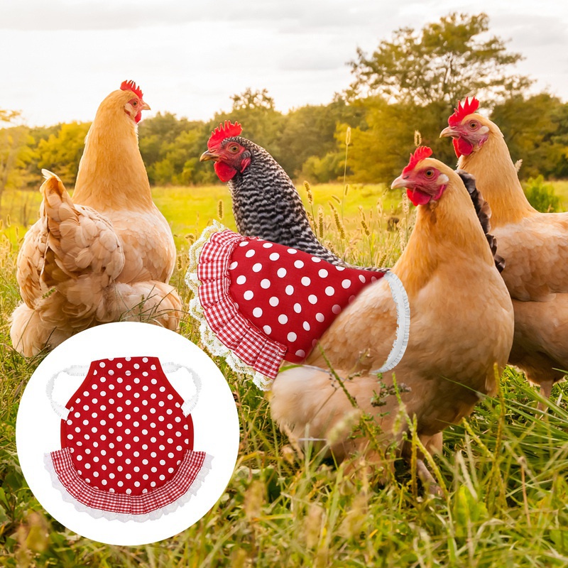 Tablier élastique en forme de plume pour poule, 11 Styles, petit accessoire de Protection en forme de coq, Protection de queue, en selle de poulet