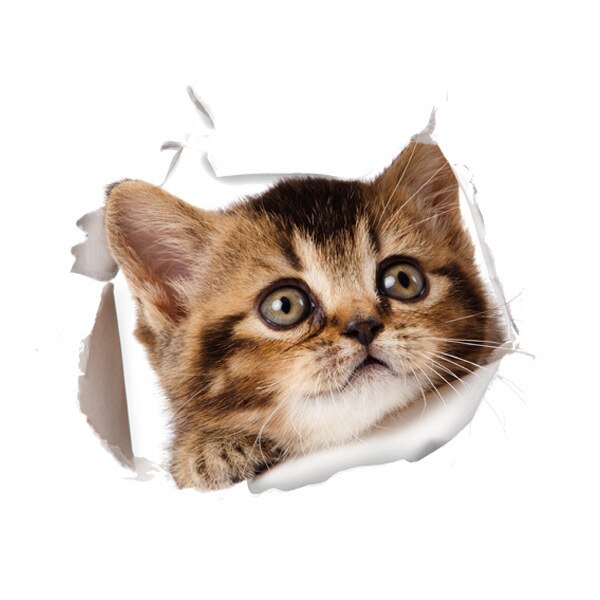 3D Creatieve Kat Hond Gebroken Muur Cartoon Sticker Zelfklevende Waterdicht Decoratie Wc Notebook Sticker: 07