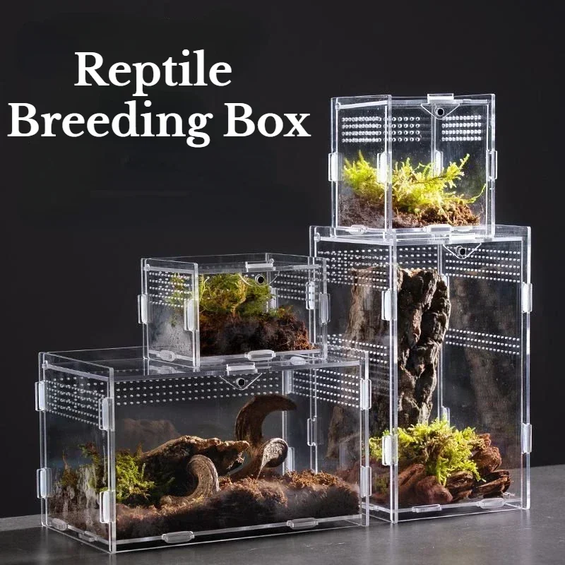 Acrílico transparente réptil terrário caixa de reprodução gaiola tartaruga nano arboreal tarântula gabinete querido dragão répteis habitat
