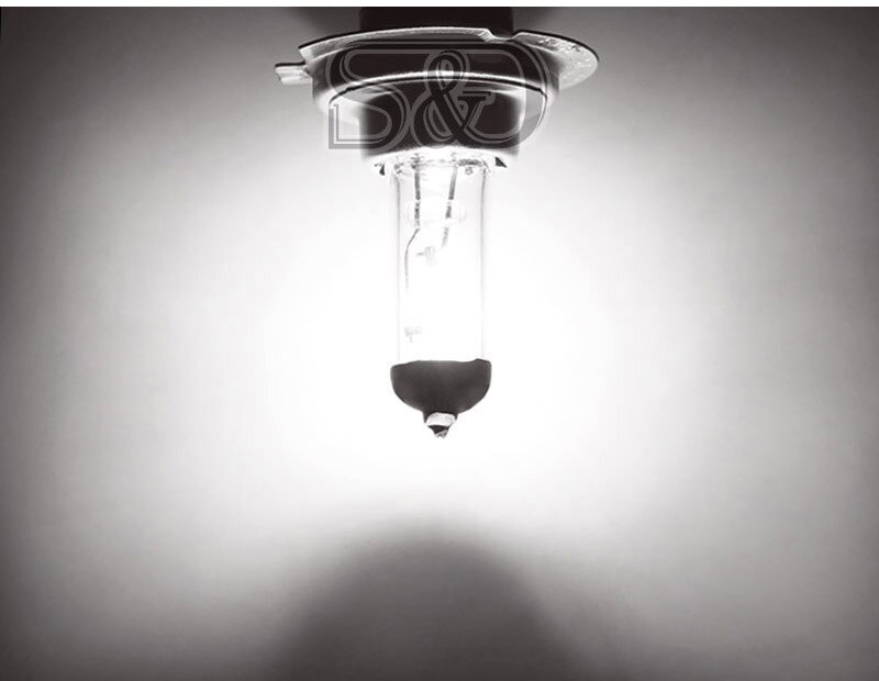 H7 55W 12V Halogen Bulb 5000K Super Bright White Fog Lights High Power Car Headlight Lamp Car Light Source Car Styling parking