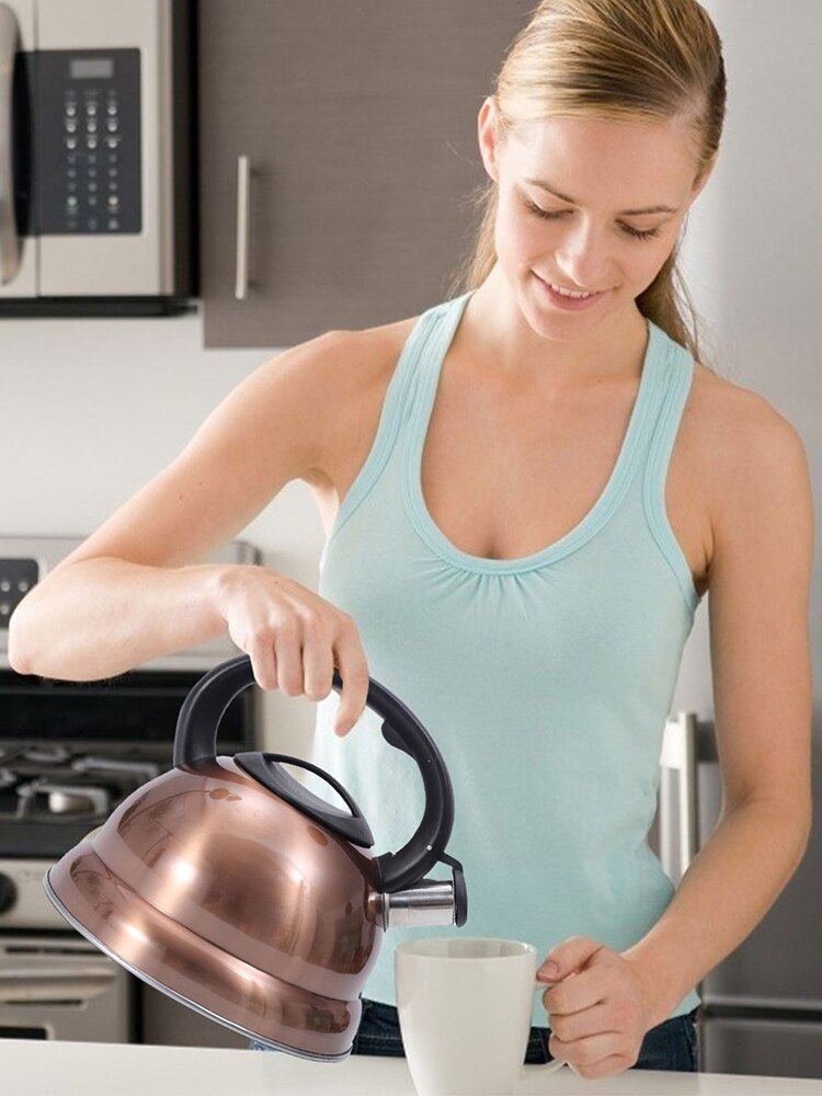 3L Stainless Steel Whistling Tea Kettle With Heat-proof Handle For Coffee Tea
