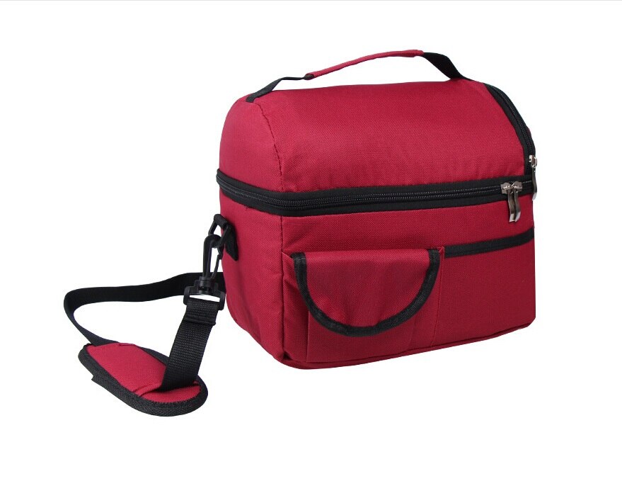 Insulated Lunch Box Tote Bag Portable Travel Men Women Adult Cold Food Thermal Cooler 8L: wine red