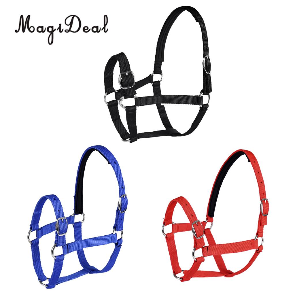 Adjustable Equestrian Western Horse Halter Fits 130cm - 165cm Horse Black/Blue/Red