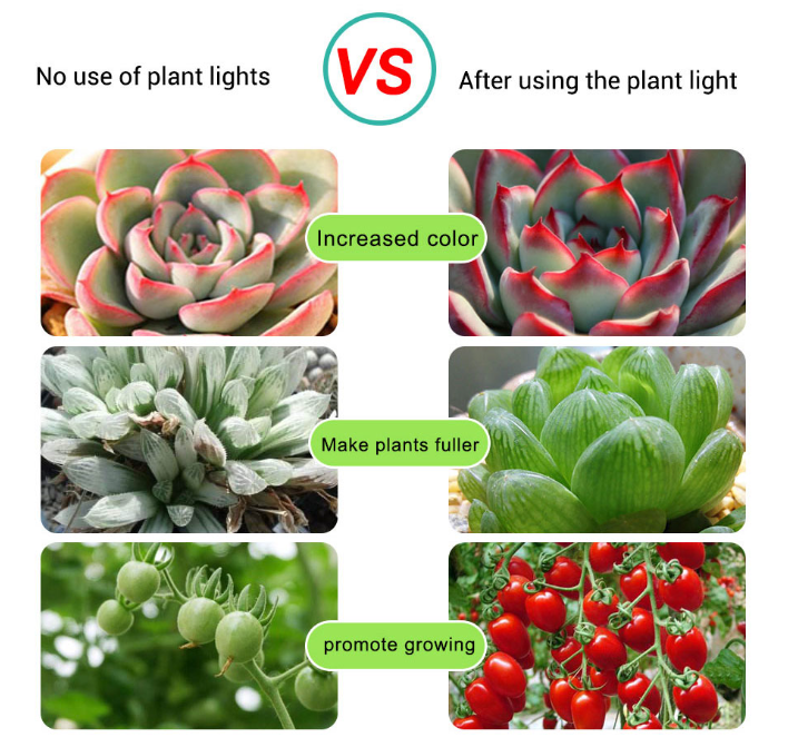 Led vækstlys fuldt spektrum usb vækstlysstrimmel 0.5m 1m 2m 2835 chip led phyto lampe til planter blomster drivhus hydroponisk