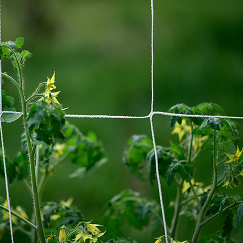 Plant Bindmachine, Lichtgewicht Plant Bindtape Tool Om Wijnstok Snel Vast Te Binden Plant Tie Tapener Gun Met Tapes En Nietjes Groen Gsl