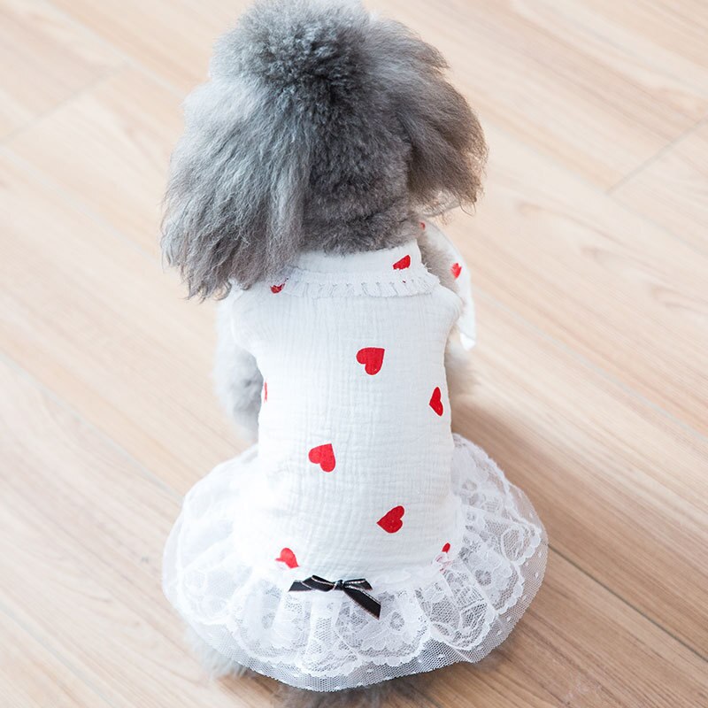 Lente En Zomer Dunne Hond Netto Gaas Rok Kleine Hond Lente Kleren Kat Kleding: WHITE / S