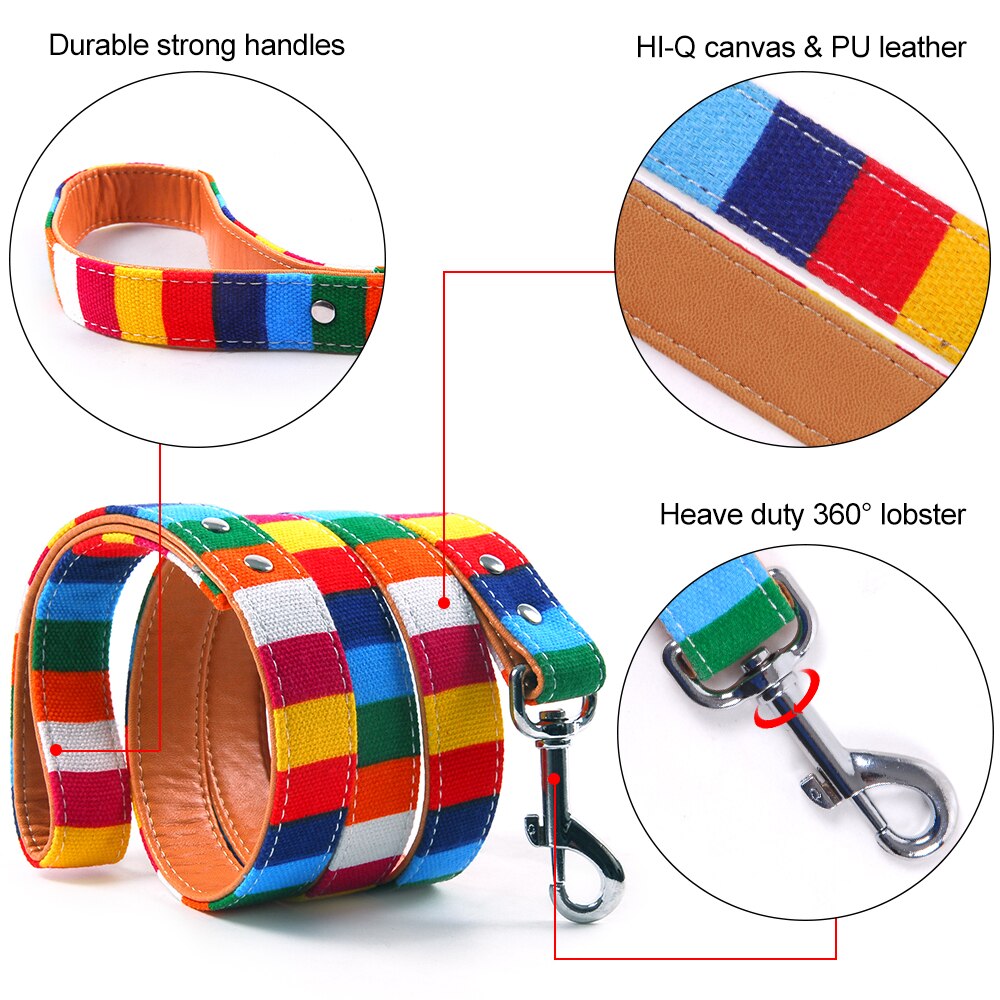 Hondenriem, kleurrijke gestreepte basis hondenriem, halsband voor honden, puppytouw, hondentuigje, chihuahua, kattenriem, huisdieraccessoires  lx0002