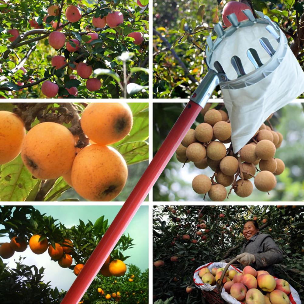 Metalen Fruit Picker Landbouw Tuin Hardware Gereedschap Fruit Picker Catcher Handig Fruit Plukken Apparatuur Voor Tuin Boerderij