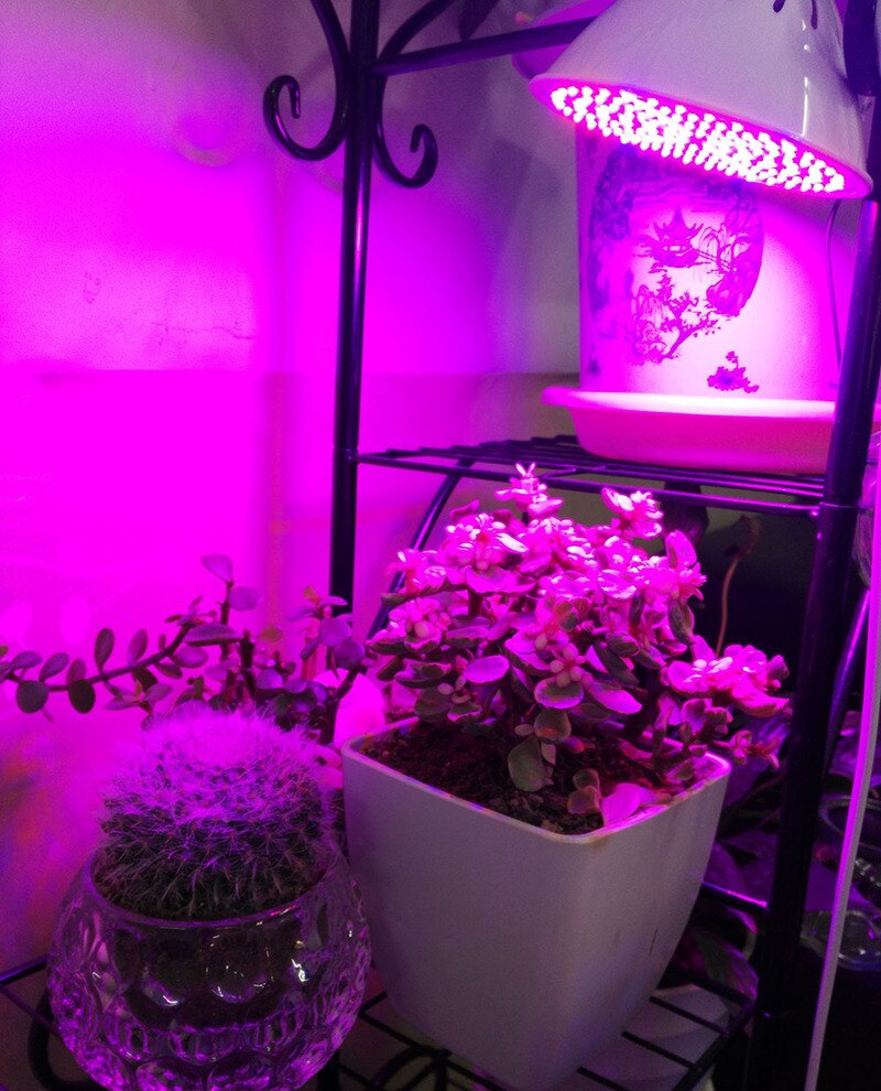 Full Spectrum Plant Grow Led Light Bulbs Lamp Lighting for Seeds Hydro Flower Greenhouse Veg Indoor Garden E27 Phyto Growbox