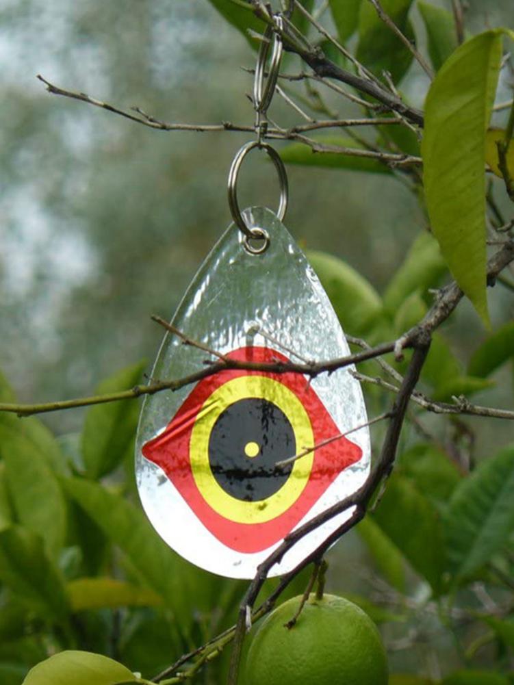 5Pcs Bird Repellent Reflective Dis Pest Repeller Pigeon Crow Hawk Goose Seagull Deterrent Repellent Disks For Garden Lawn Courty