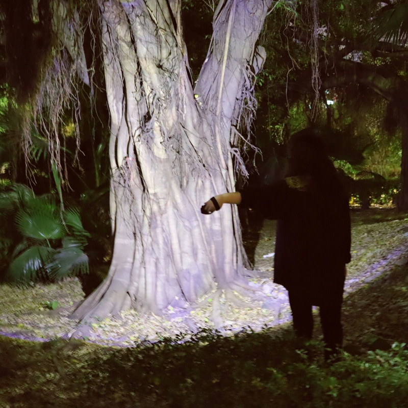 USB Rechargeable With built-in battery Headlamp Headlight flashlight COBRed / white Lighting Portable lantern