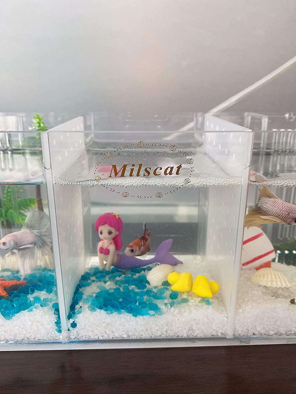 Betta Fish Tank Acrylic Material Mini Desktop Aquarium Goldfish Small Gallon Fish Tank Sick Fish beta Isolation Room