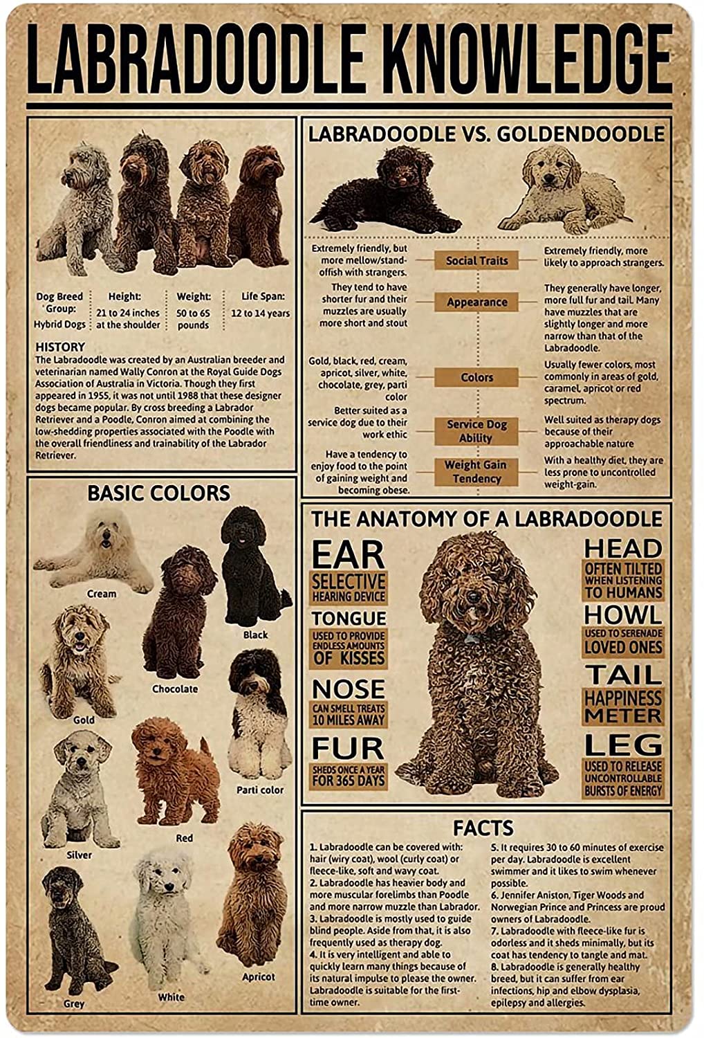 Dog Anatomy Metal Tin Sign Australian Cattle Dog Knowledge Poster Farm School Education Club Garage Wall Decor Plaque 8x12 Inch: Shar Pei / 8x12inch
