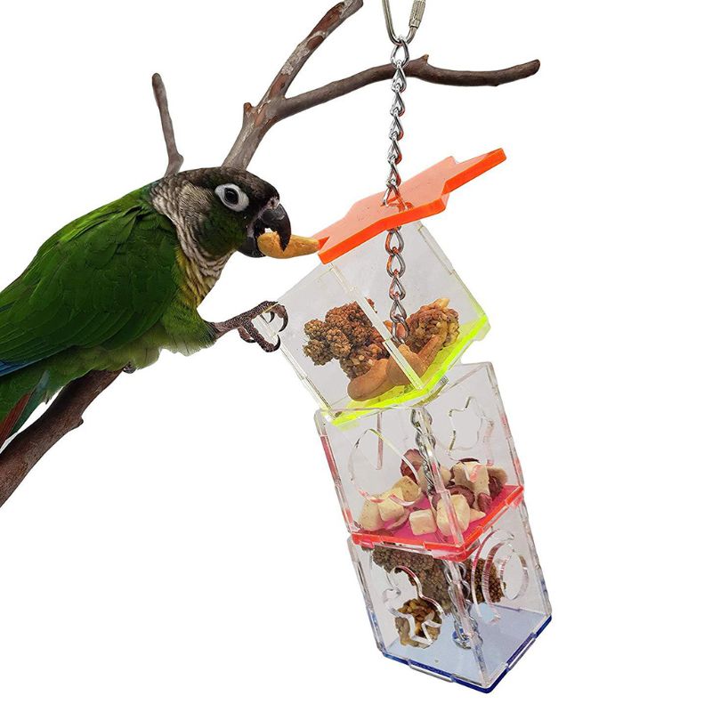 Parrot Bird Feeding Toy Boredom Buster Forage Box Hanging Treat Foraging Toys Acrylic Food Feeder Birds Supplies C42