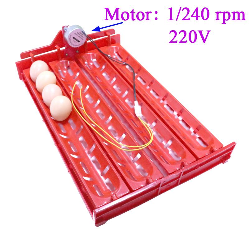 Accesorios para incubadora de huevos, bandeja para colocar huevos, pato, Ganso, aves de corral, Motor de 110V/220V/DC12V, novedad, 32-40 juegos, 1 Juego: 1I240rpm 220V