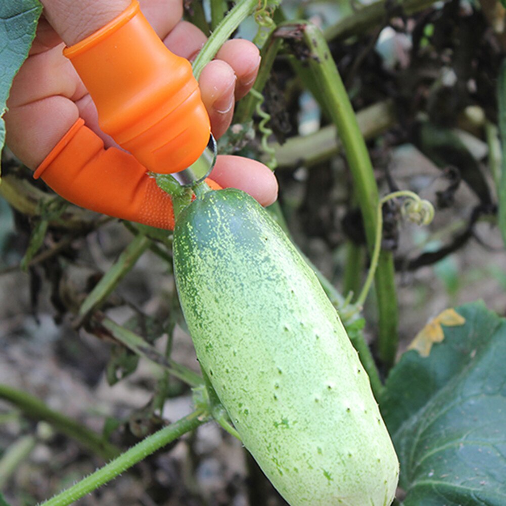 Silicone pouce Mes Vinger protecteur engrenages Snijden Groente Oogsten Mes couteau plante lame Schaar Tuin Handschoenen