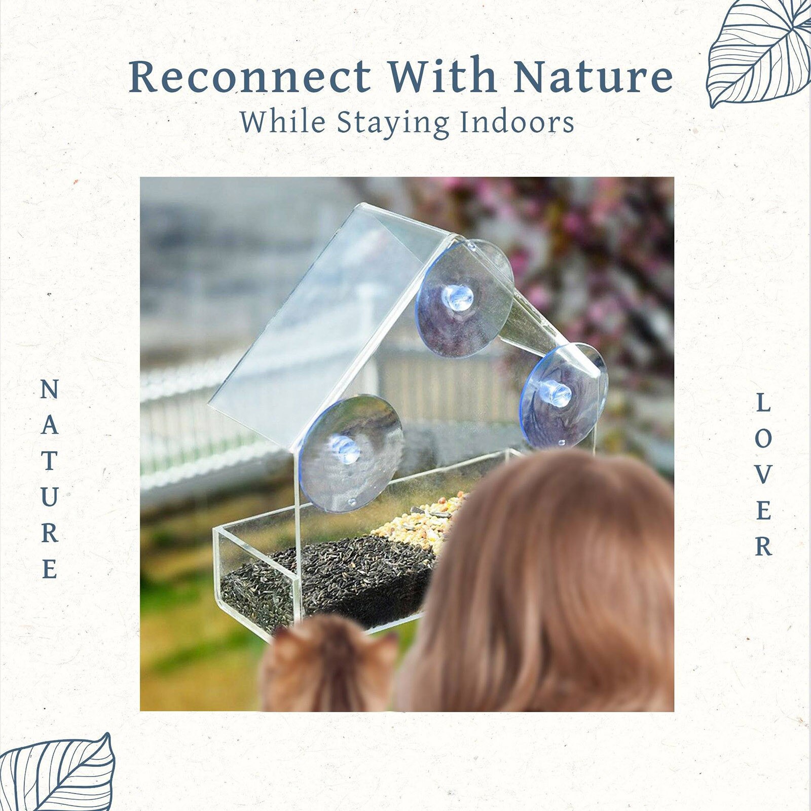 Bird Feeder Acrylic Transparent Window Viewing Bird Feeders Tray Birdhouse Pet Water Feeder Suction Cup Mount House Type Feeder