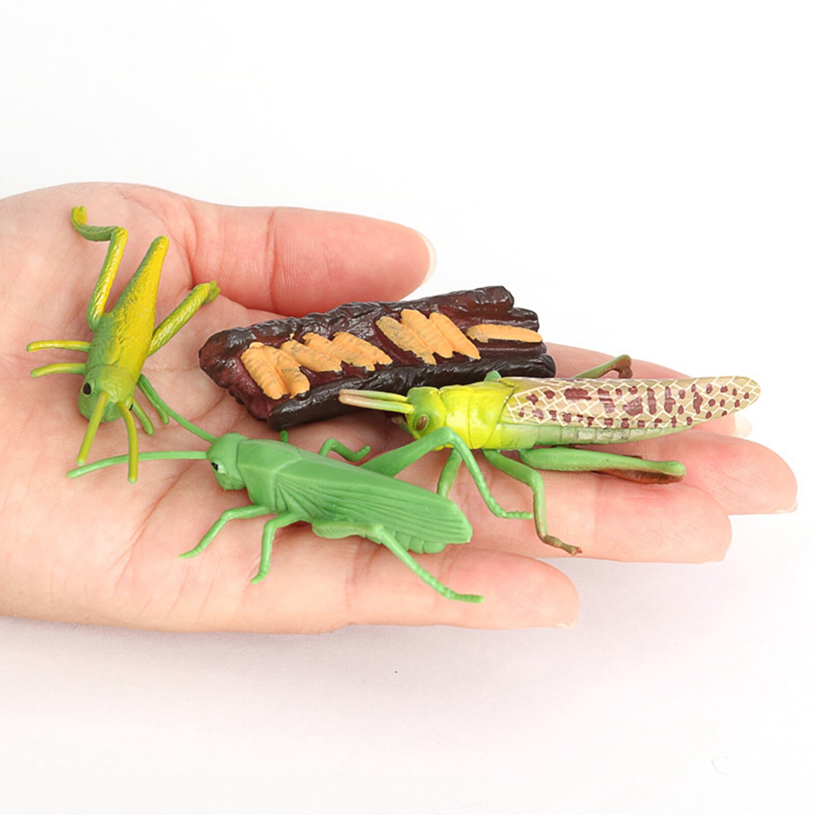 Figura de crecimiento de saltamontes naturales, juguete de simulación de plástico, para educación, fantasía, juguetes de biología, ayuda para enseñanza, temática