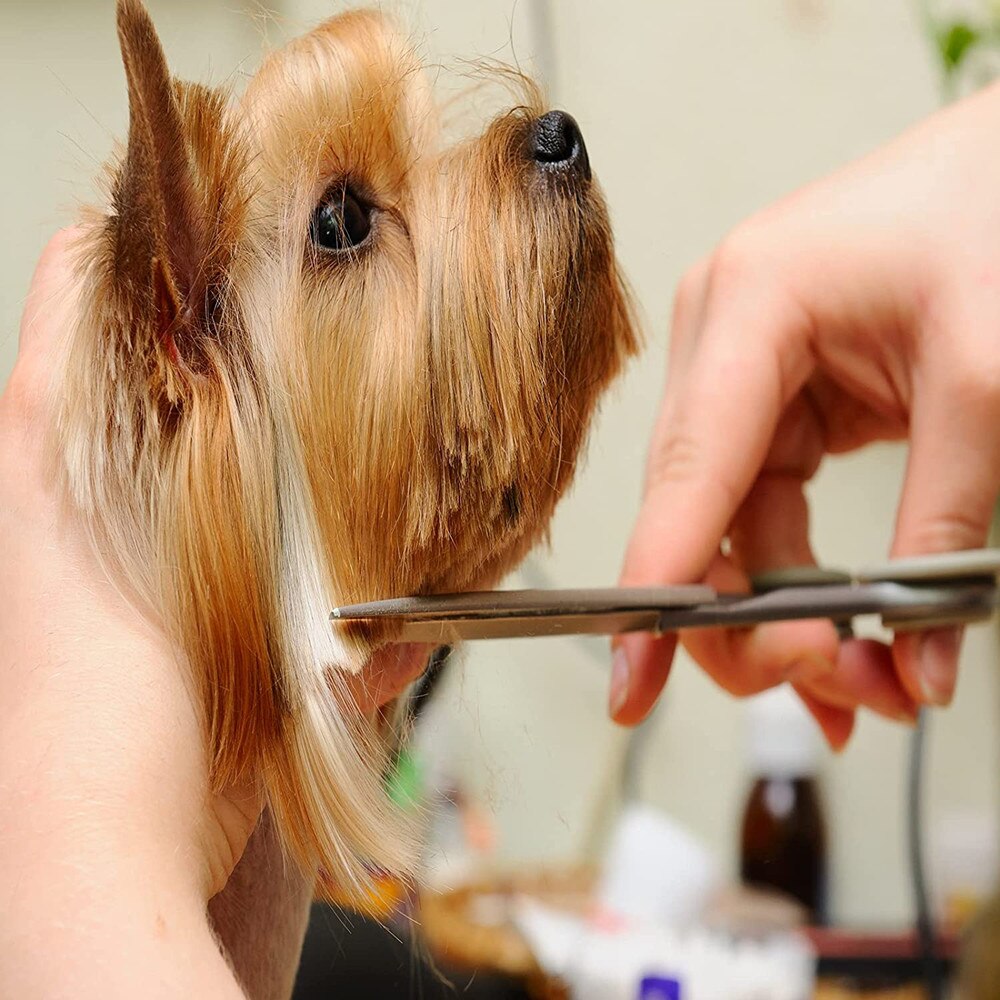 6 Inch Hund Pflege Schere Set Pet Haar Trimmen Werkzeug Edelstahl Gekrümmte Schere Katze Hund Haar Schneiden Schere