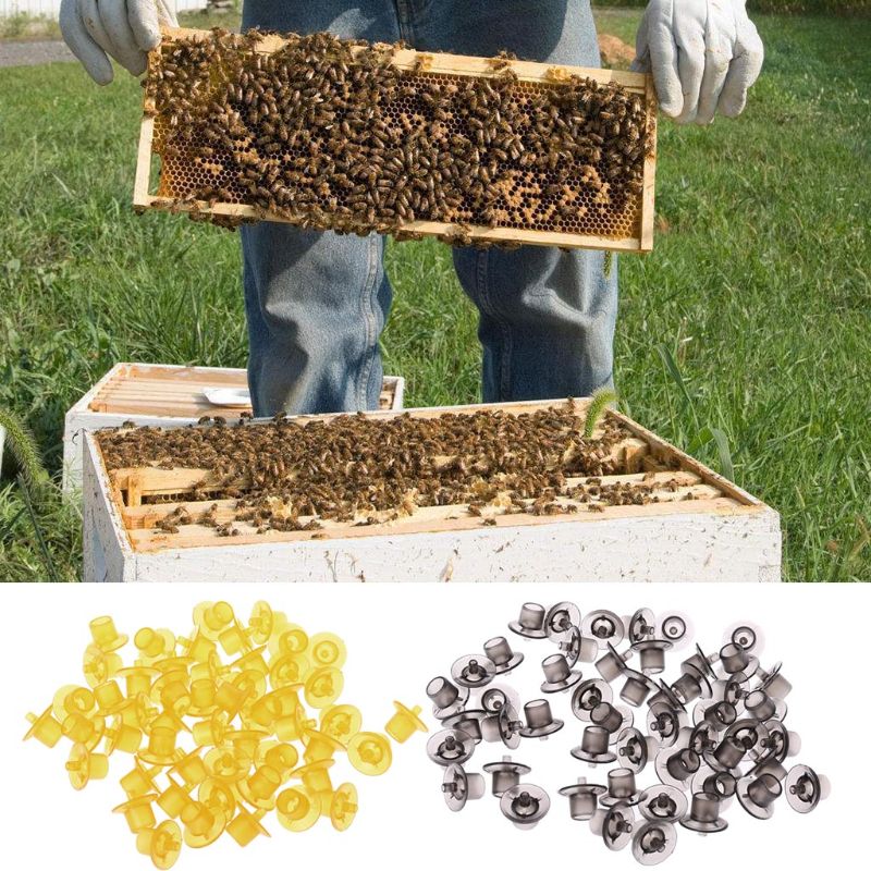 50pcs Plastic Beekeeping Cell Cup Kit Bee Queen Re... – Grandado